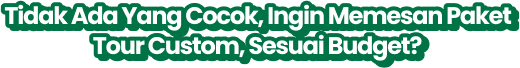 Tour Custom